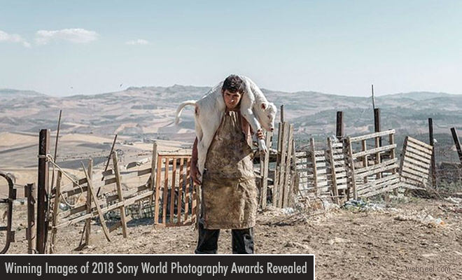 Awesome Winning Images from the 2018 Sony World Photography Awards Revealed