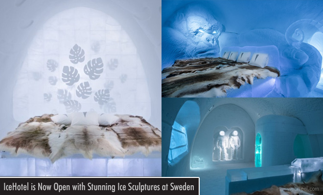 Sweden Welcomes Visitors to Witness Stunning Ice Sculptures at IceHotel