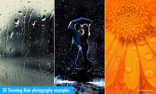 Rain Photography
