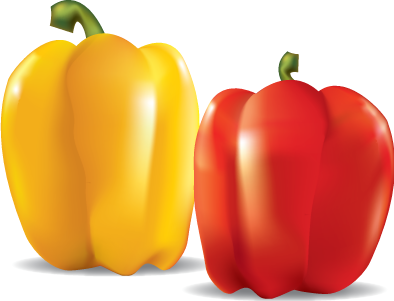 vector illustrator objects