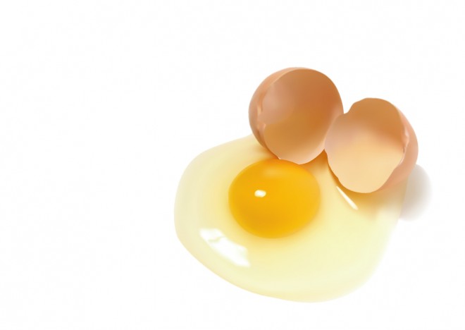 vector illustrator objects