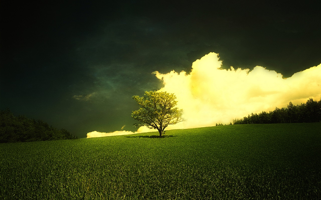 spring nature wallpaper