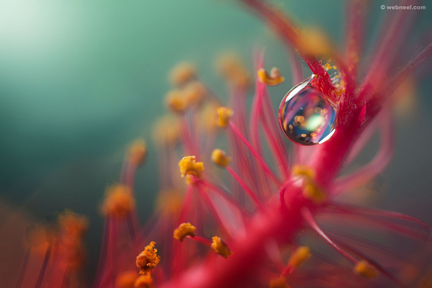 rain wallpaper reflection 49